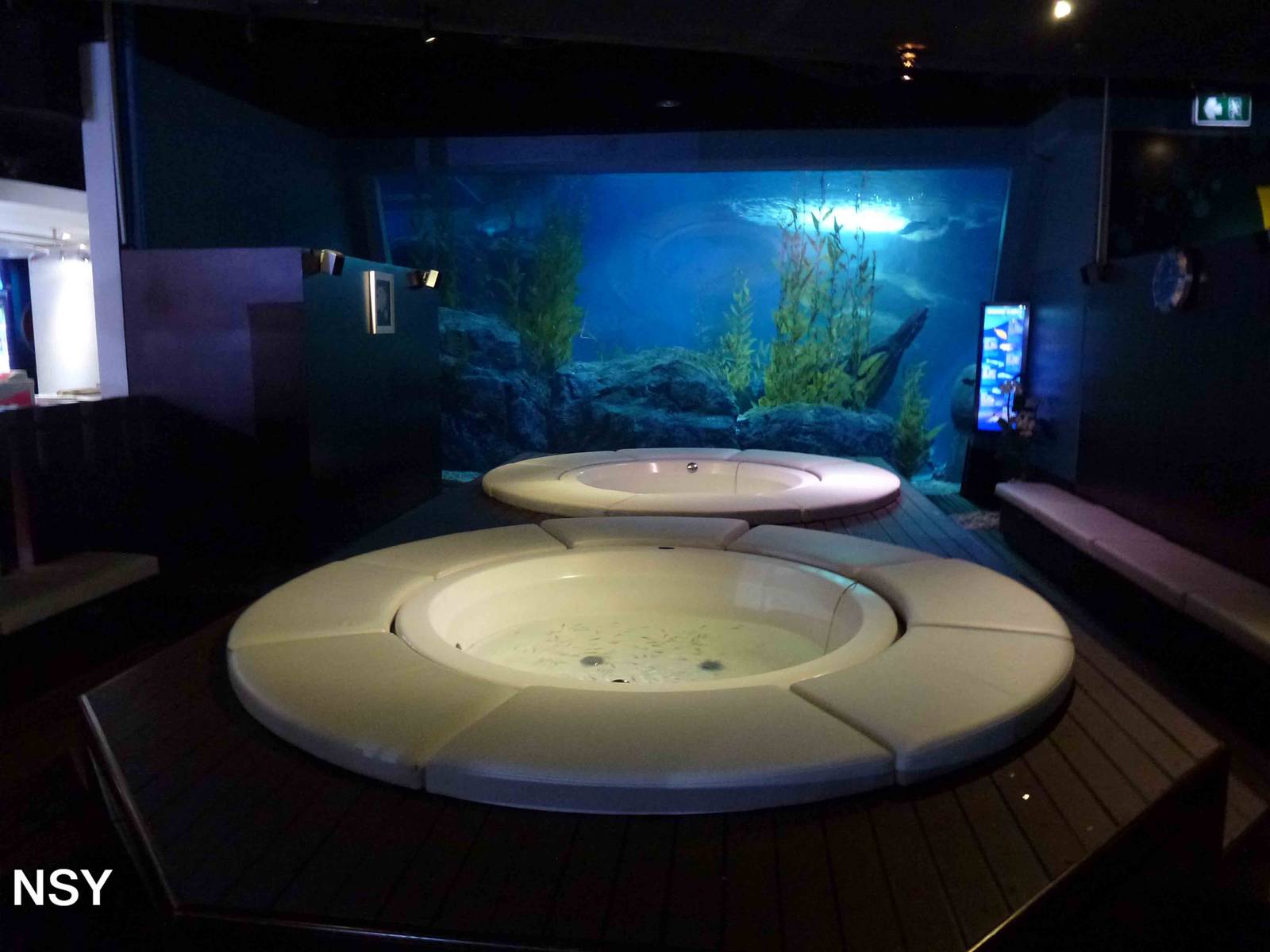 Fish foot spas, June 2013.