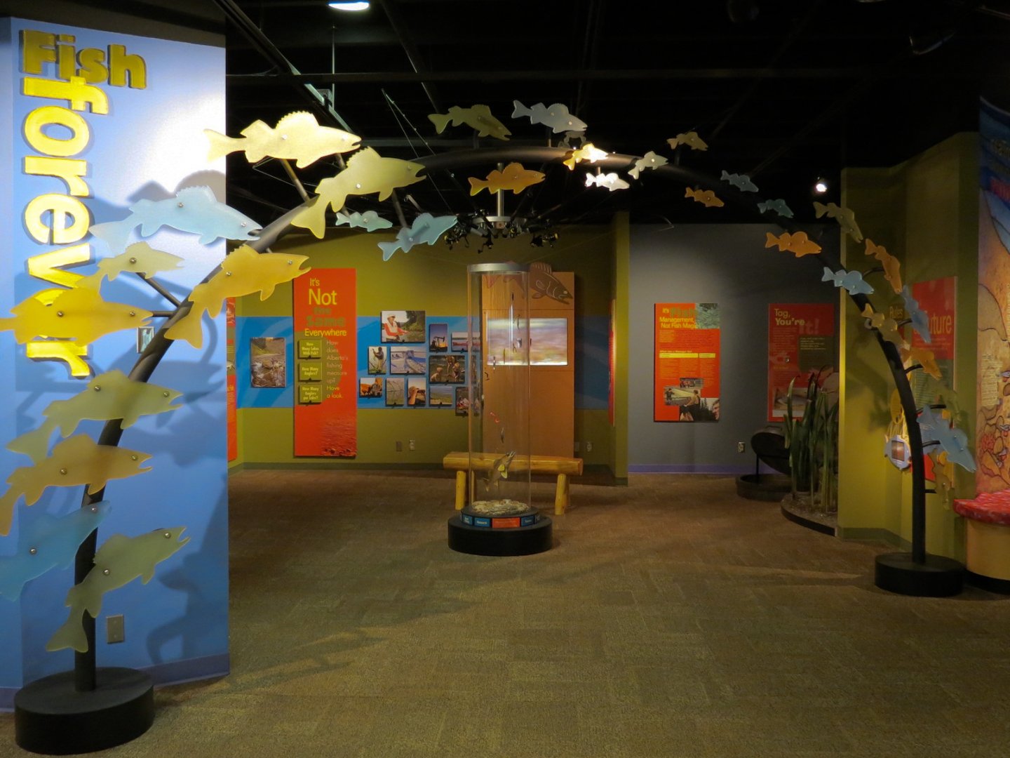 Fish Forever Gallery