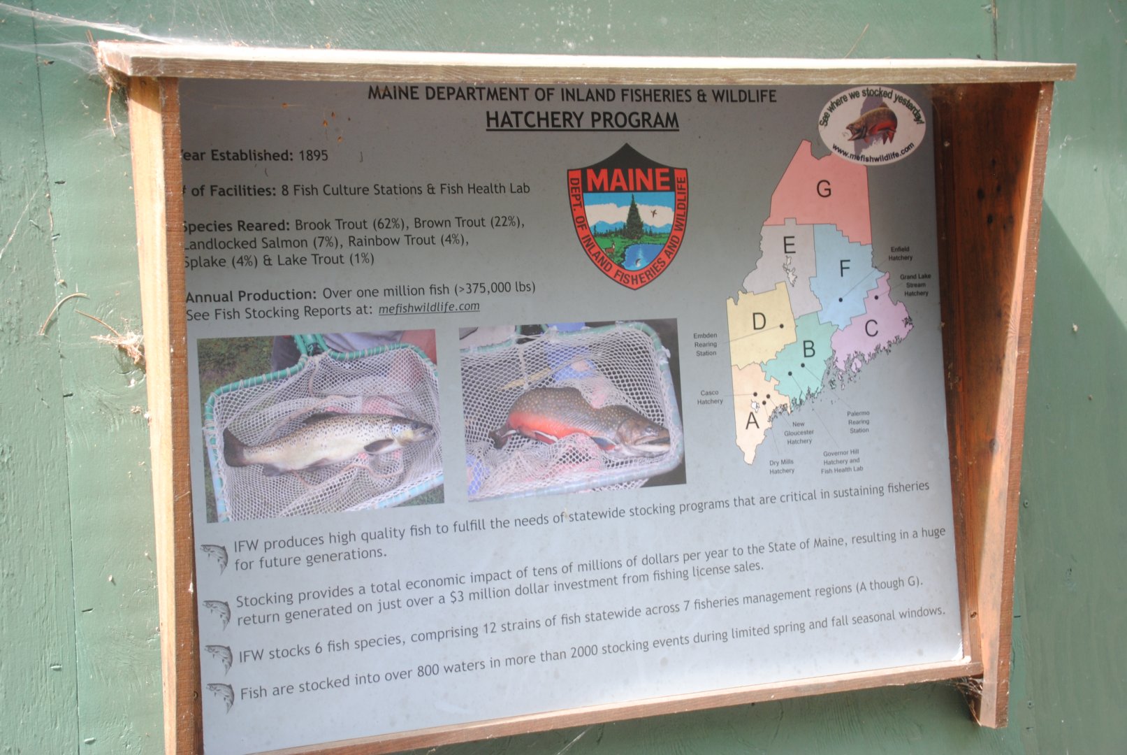 Fish Hatchery info