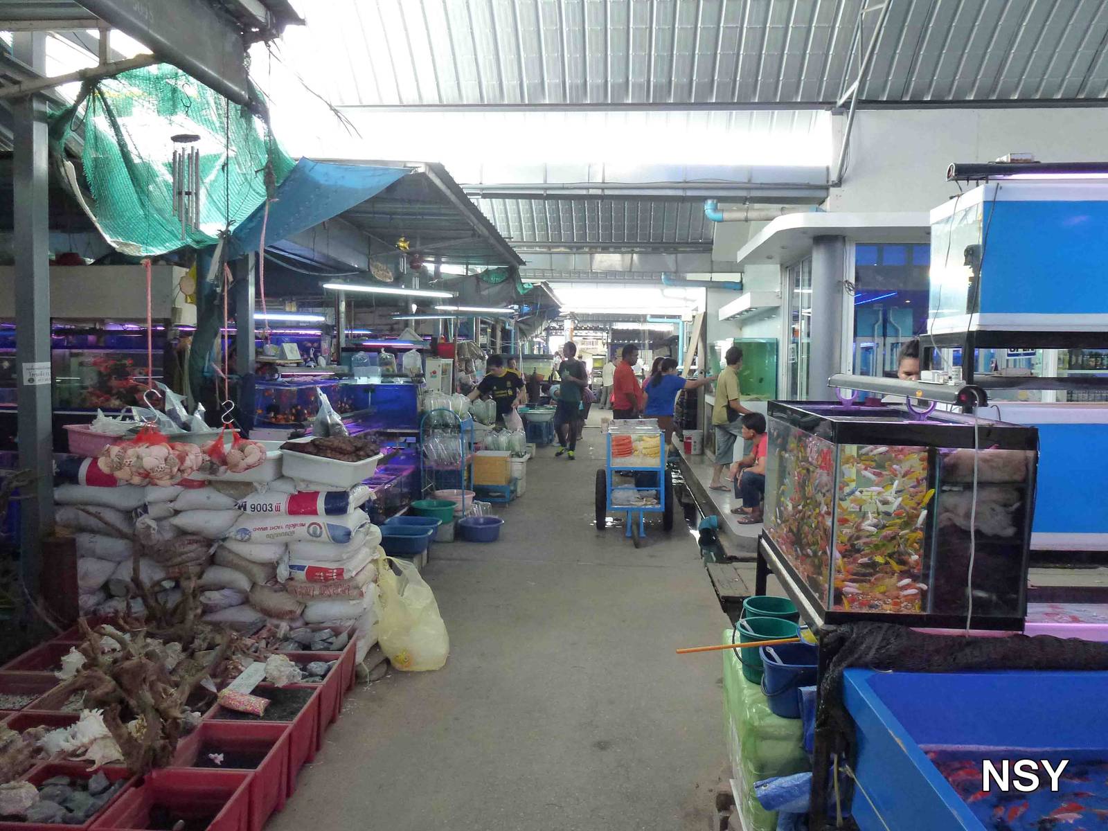 Fish market- Chatuchak market, June 2013.