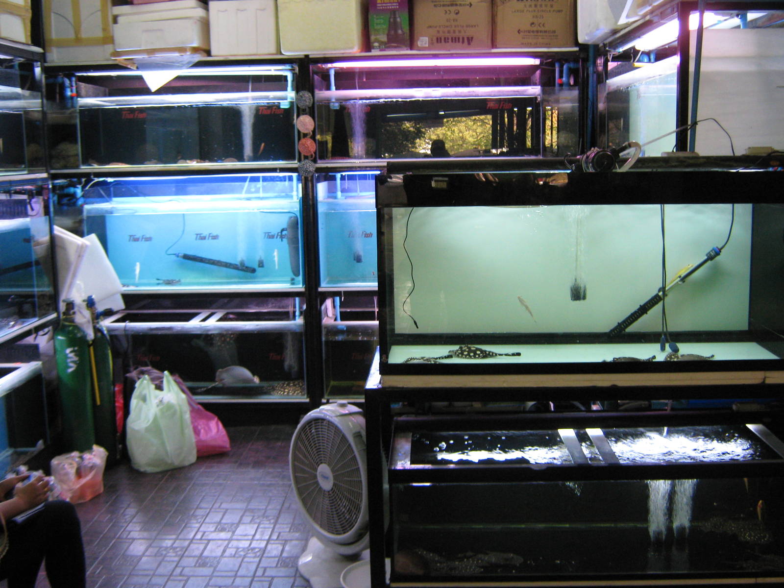 Fish market -- Chatuchak Weekend Market, Jan 2014