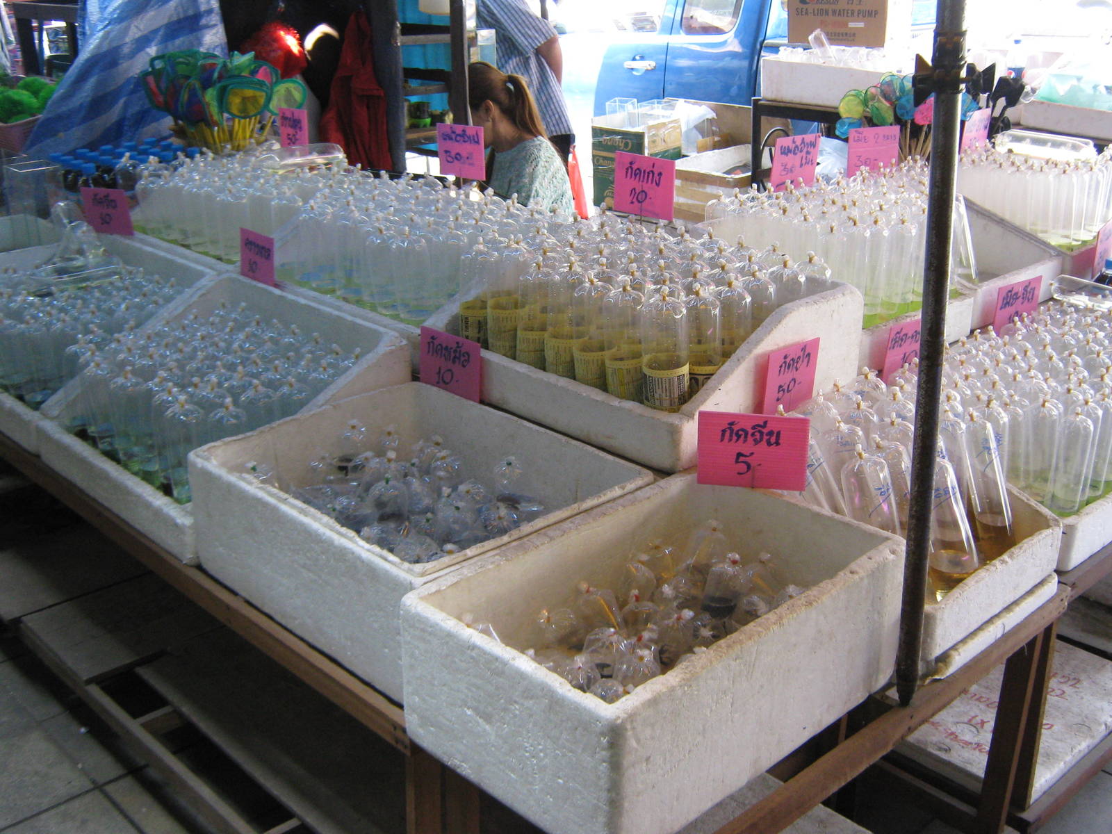 Fish market -- Chatuchak Weekend Market, Jan 2014