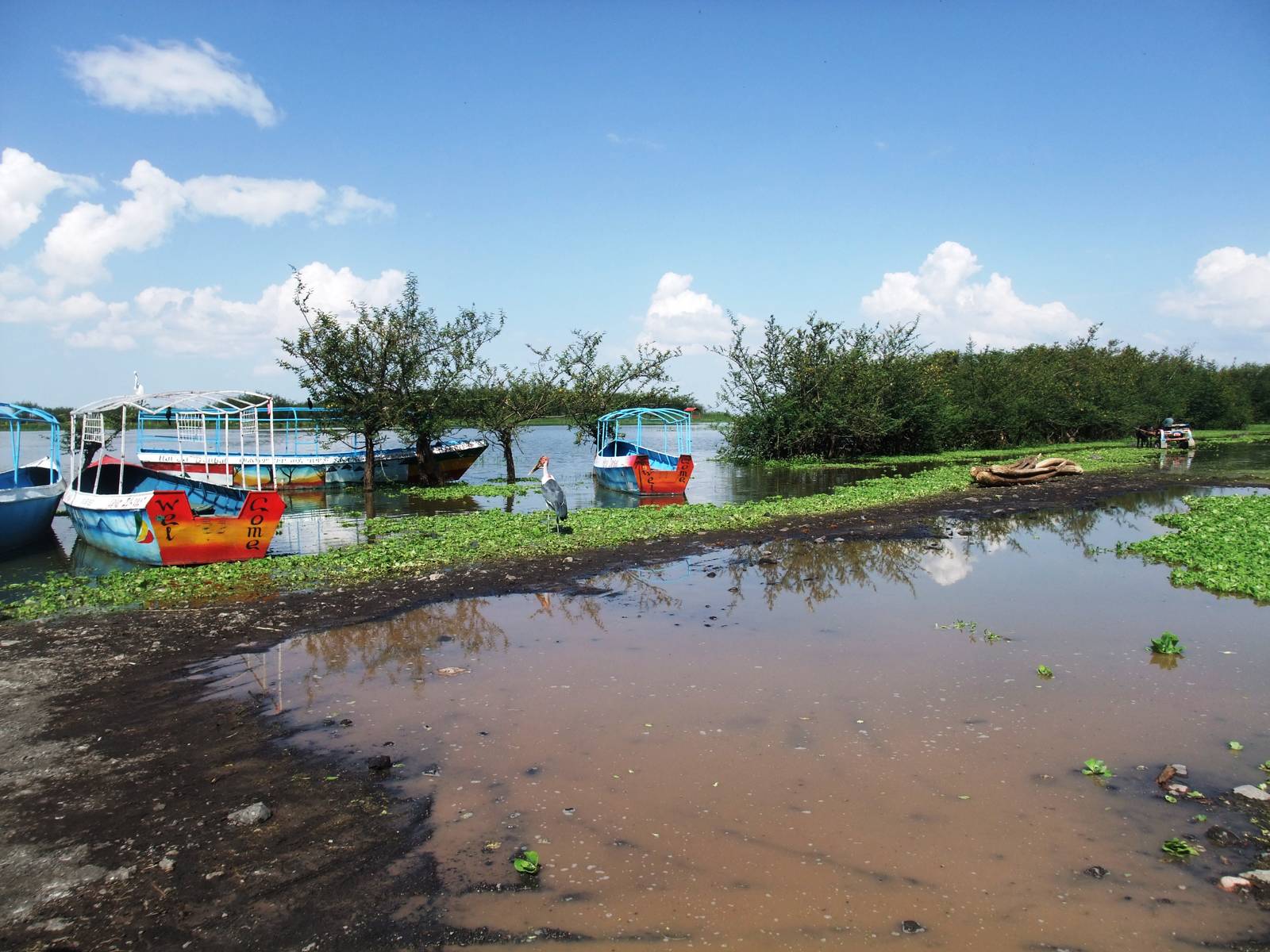 Fish Market Landing Area at Ziway, 13/10/14