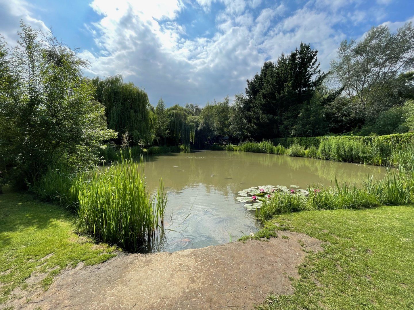 Fish Pond at Ponderosa Zoo (July 2021)