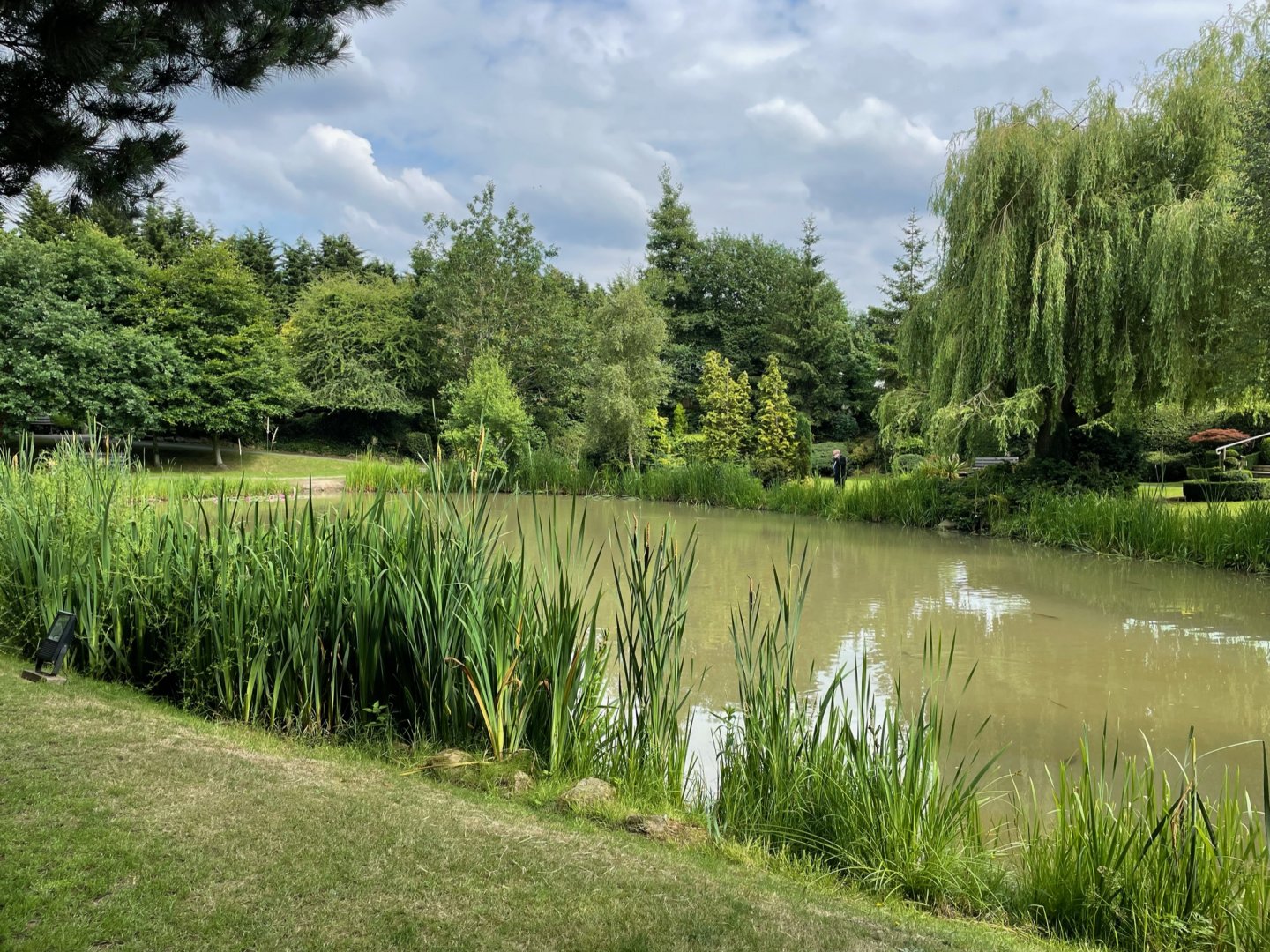 Fish Pond at Ponderosa Zoo (July 2021)