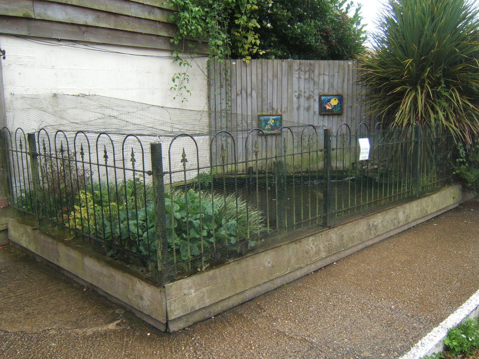 Fish pond by the entrance
