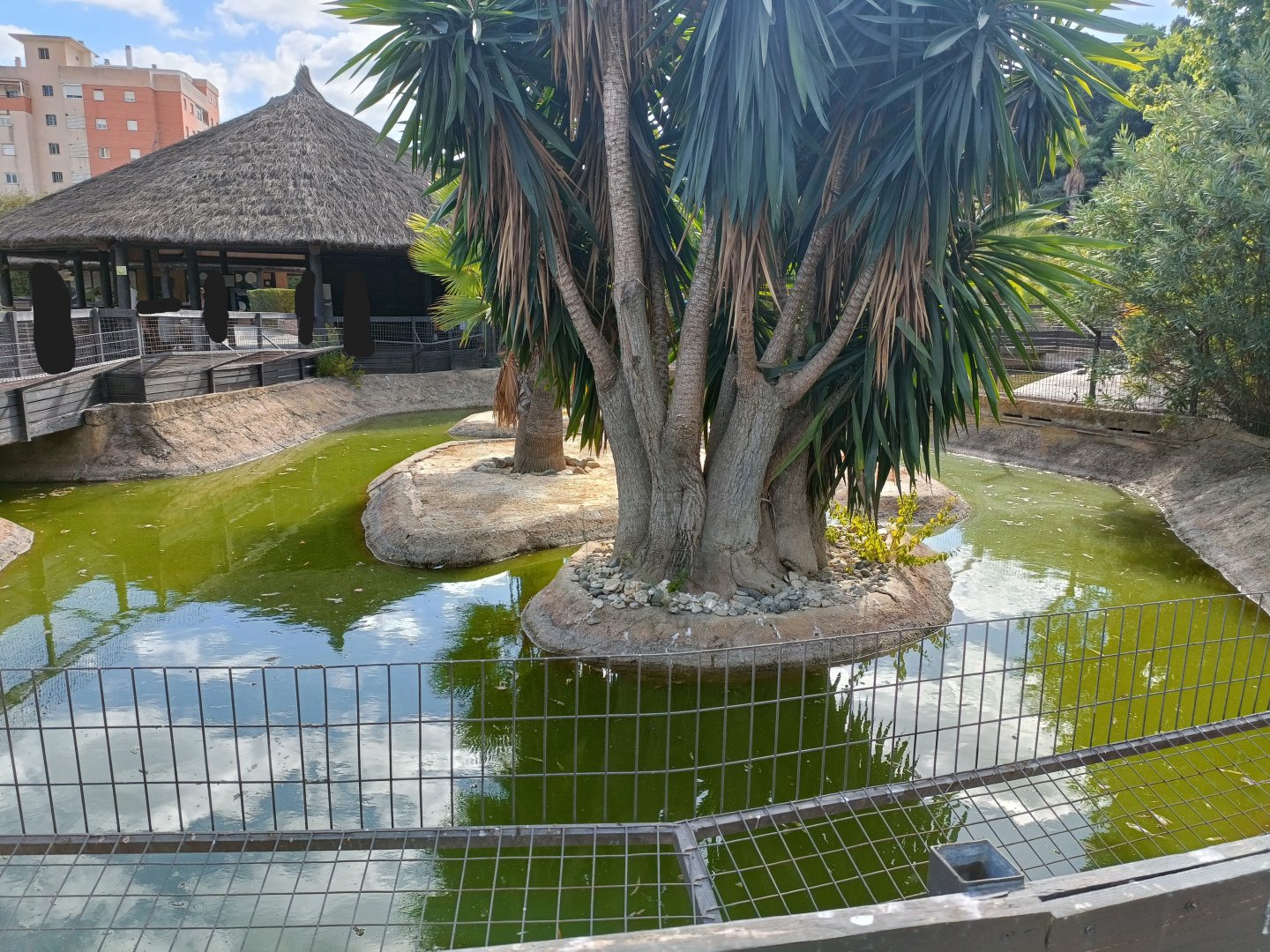 Fish pond - Crocodile park Torremolinos