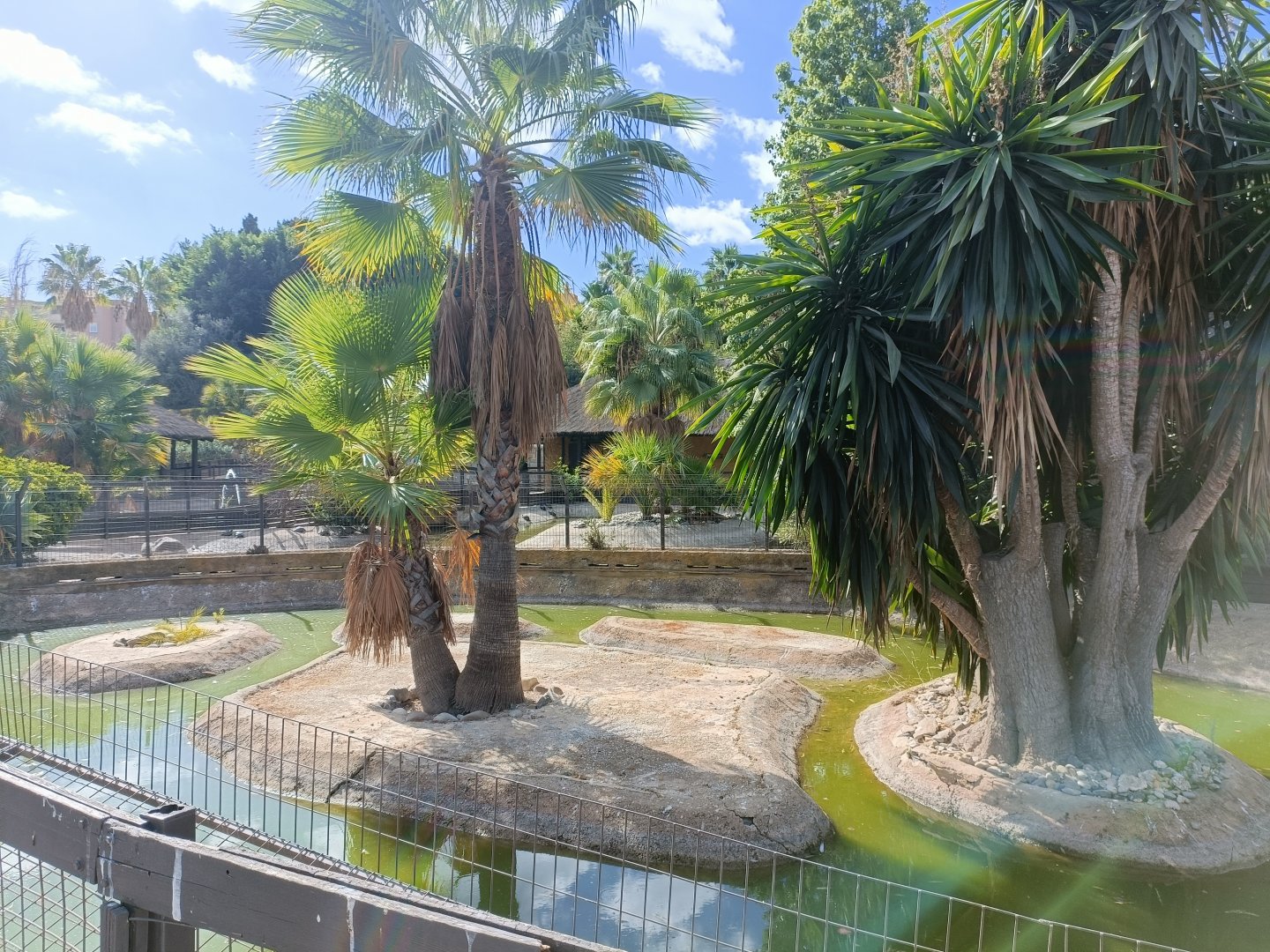 Fish pond - Crocodile park Torremolinos
