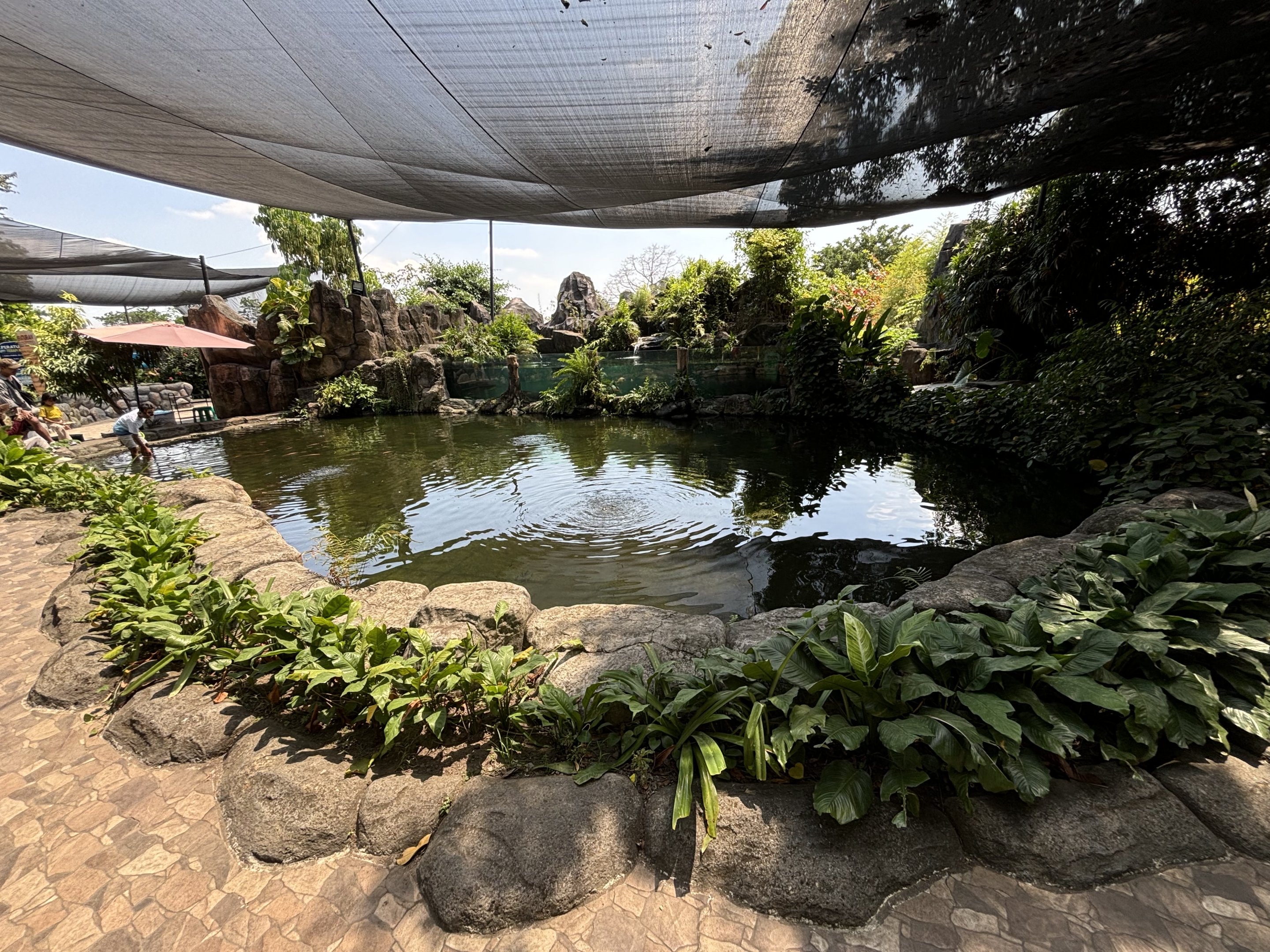Fish Pond - petting zoo