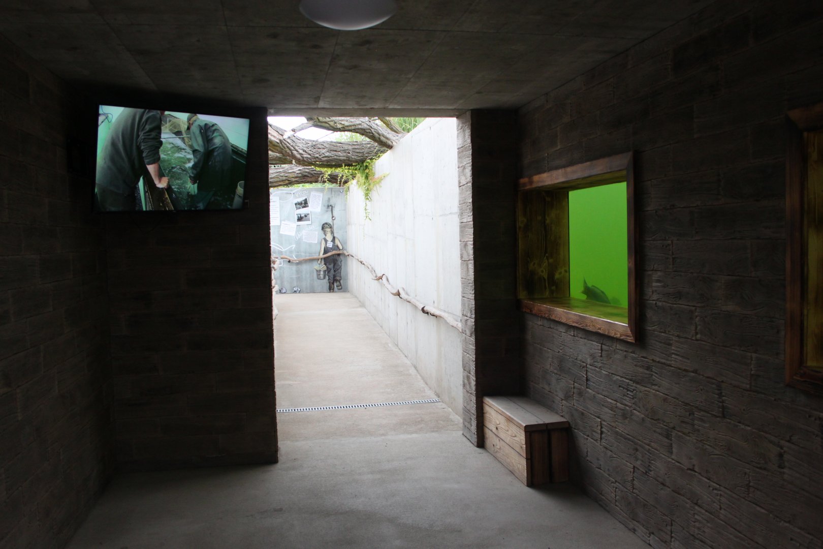 Fish pond - underwater view