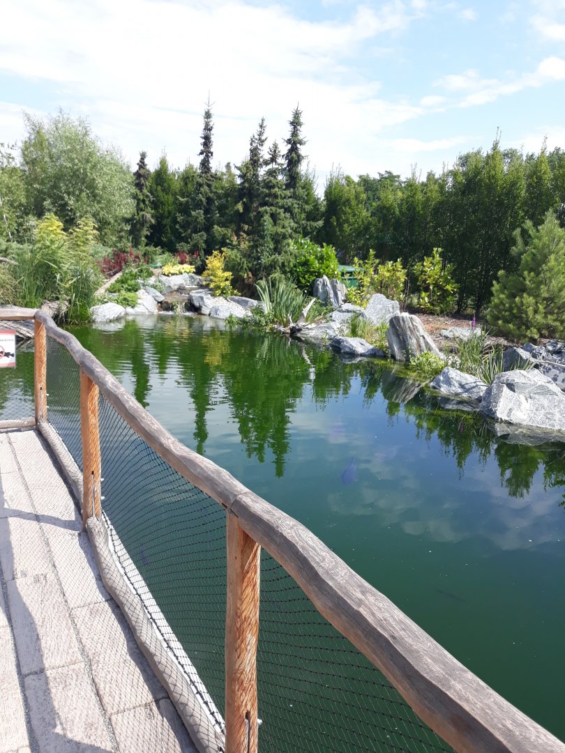 Fish pond - view from the top