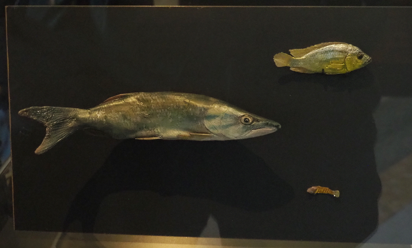 Fish replicas, 2021-10-20