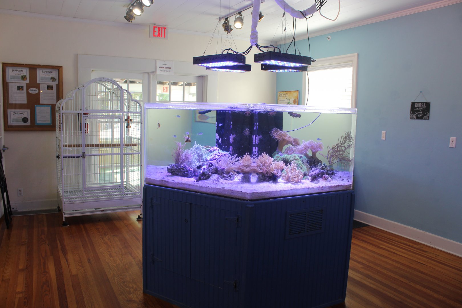 Fish Room