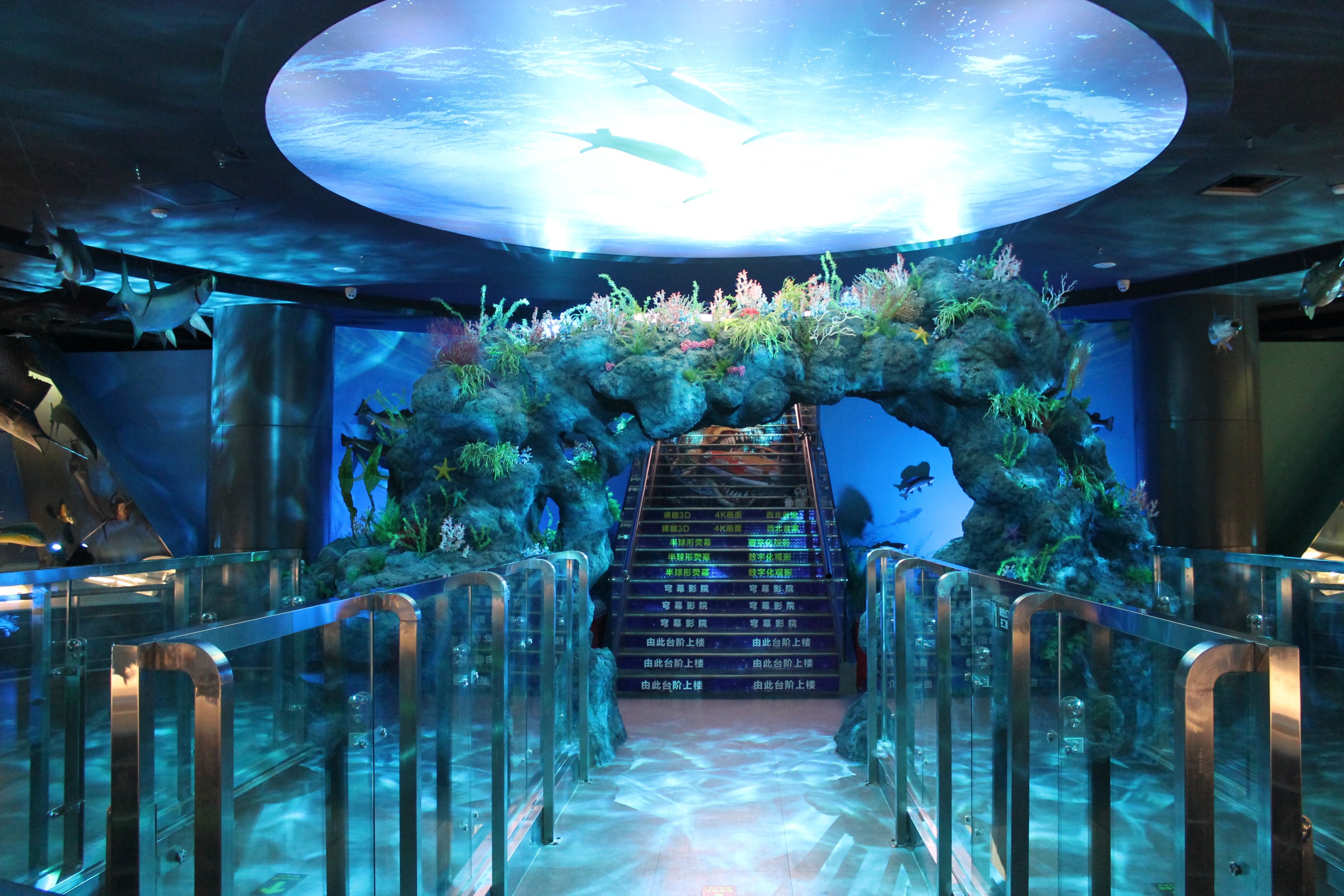 Fish, second floor - Shaanxi Nature Museum