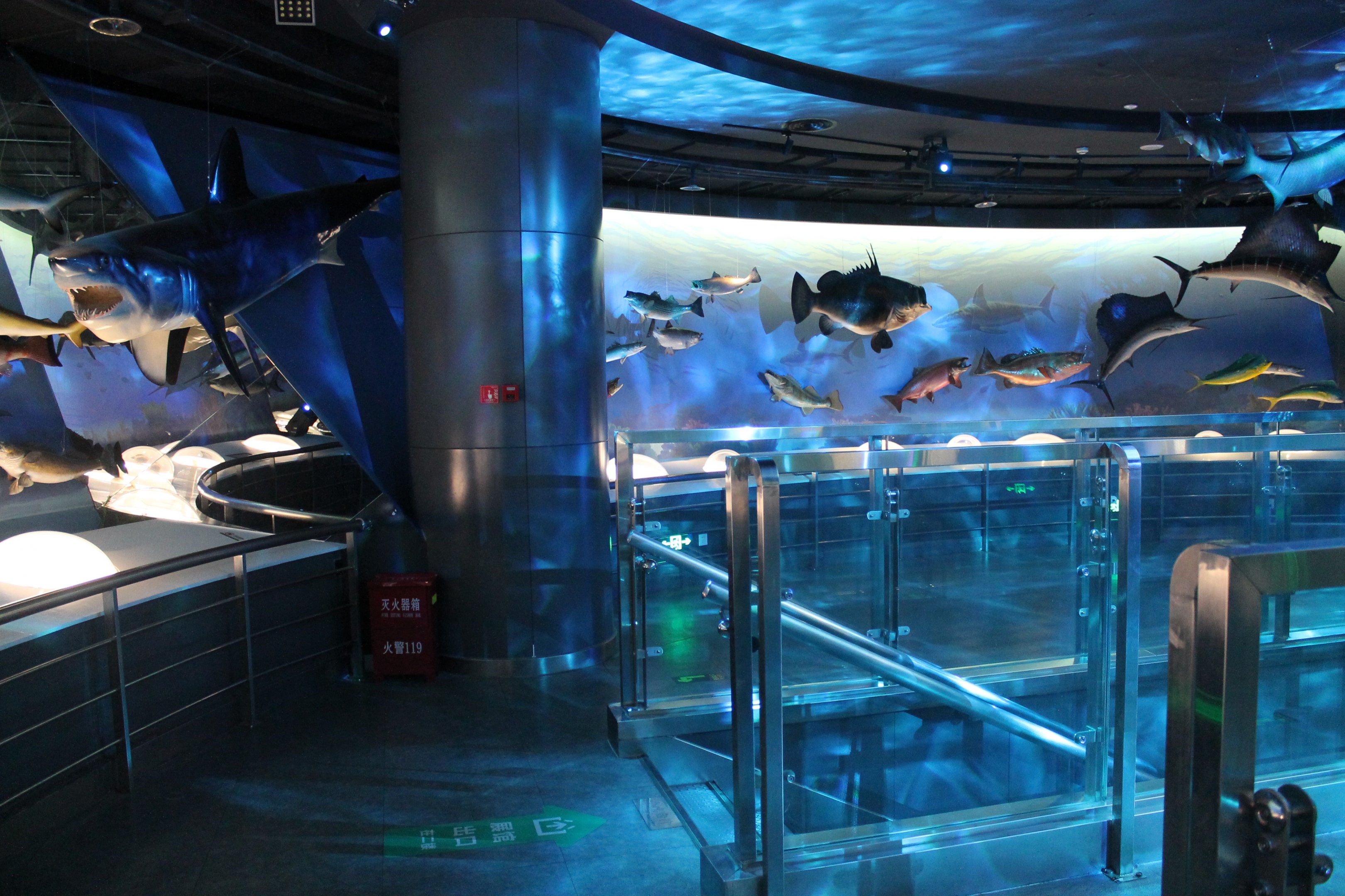 Fish, second floor - Shaanxi Nature Museum
