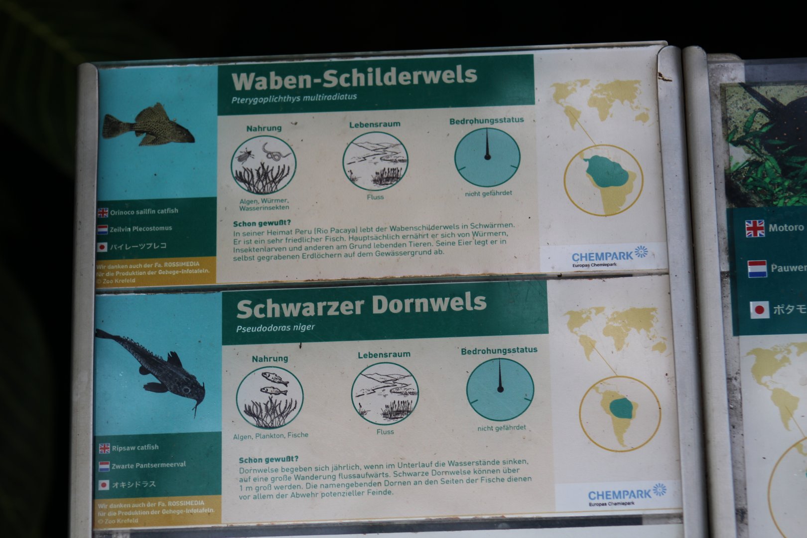 Fish Signage