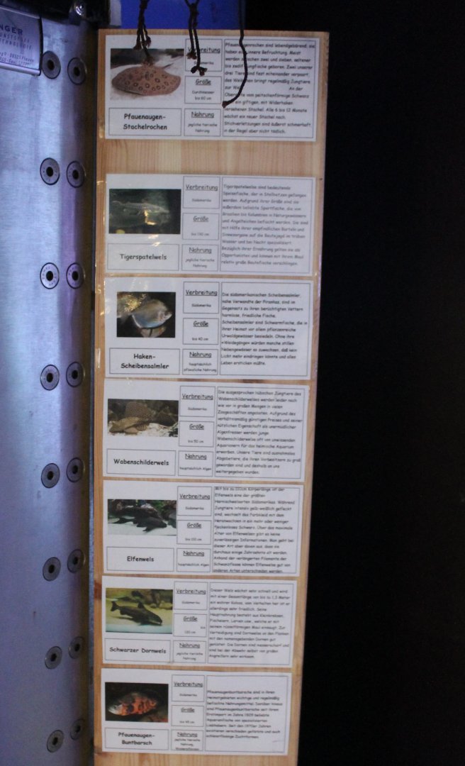 Fish-signs Amazonas-aquarium