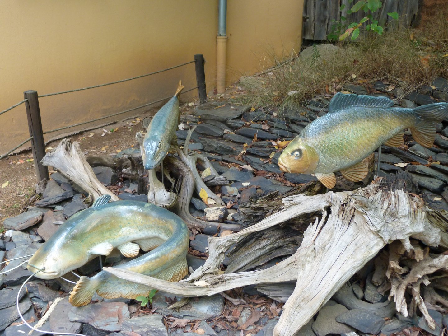 Fish statues -Zoo Plzeň (2025)