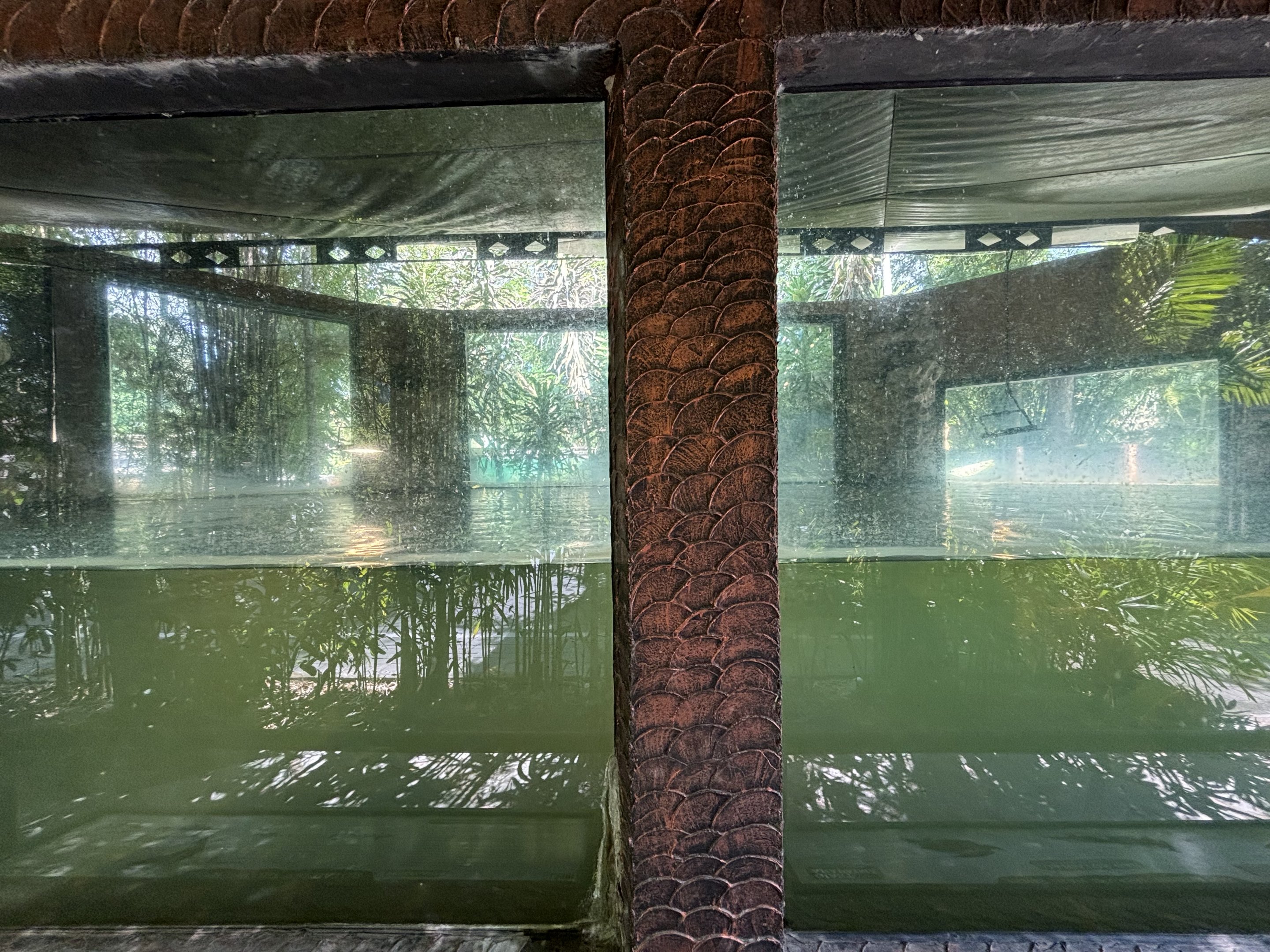 Fish Tank (3 species labeled)