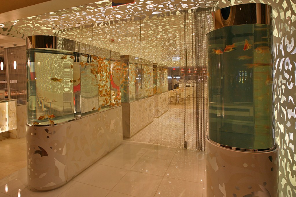 Fish Tank Caesars Palace Hotel and Casino