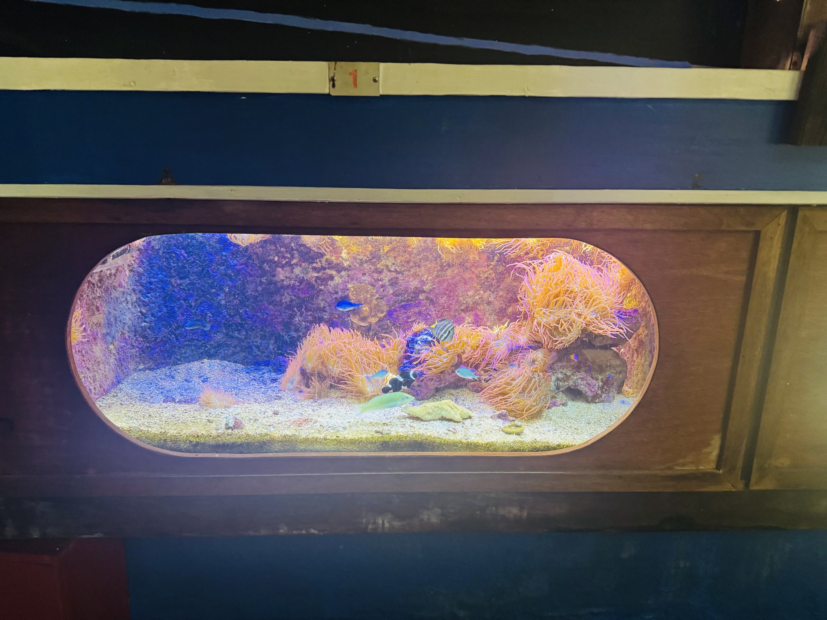 Fish tank example