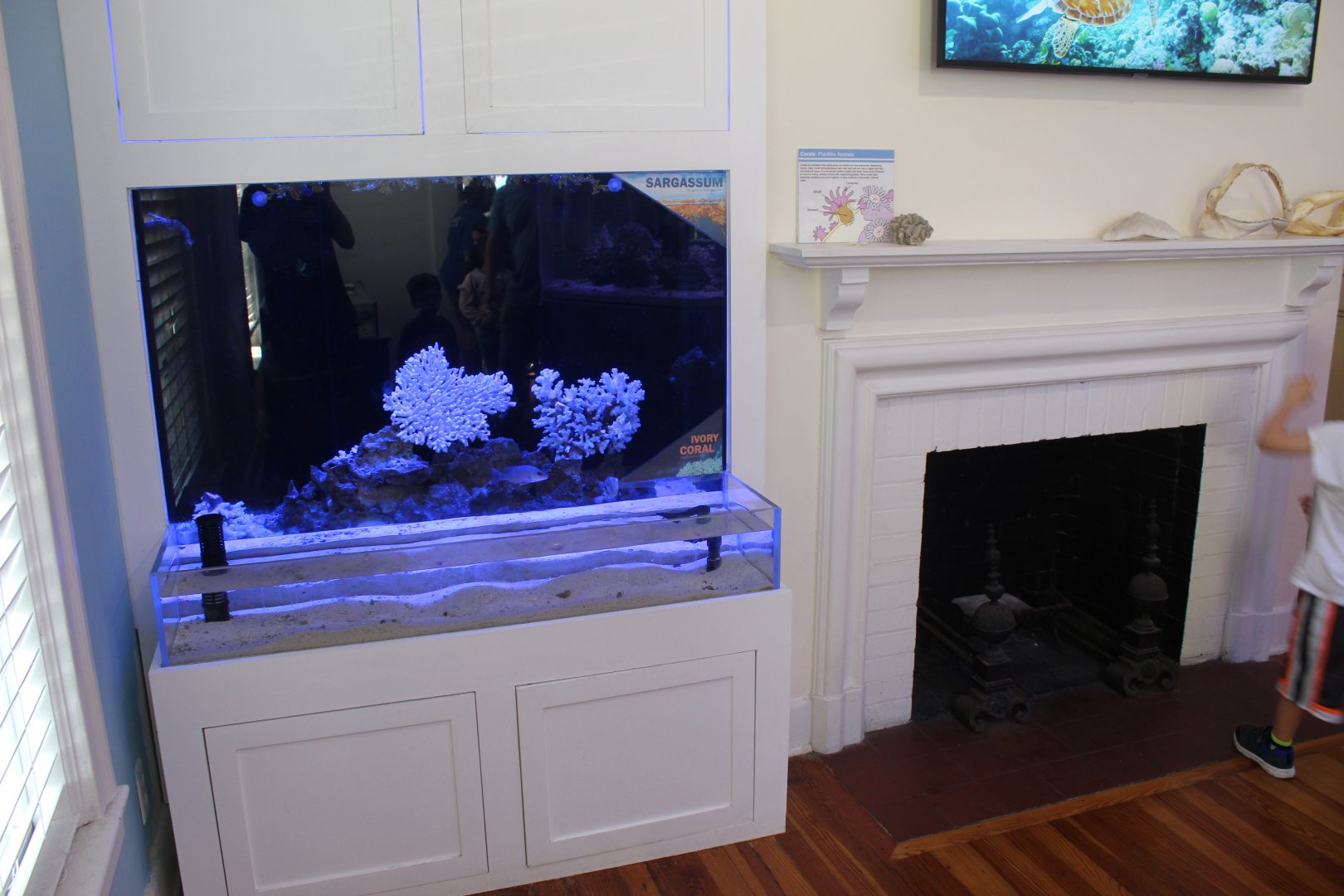 Fish Tank & Fire Place