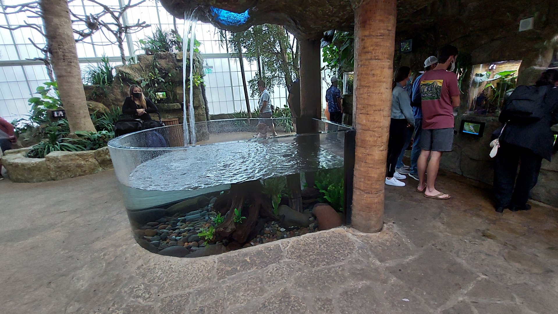 Fish Tank in Cloud Forest Trek