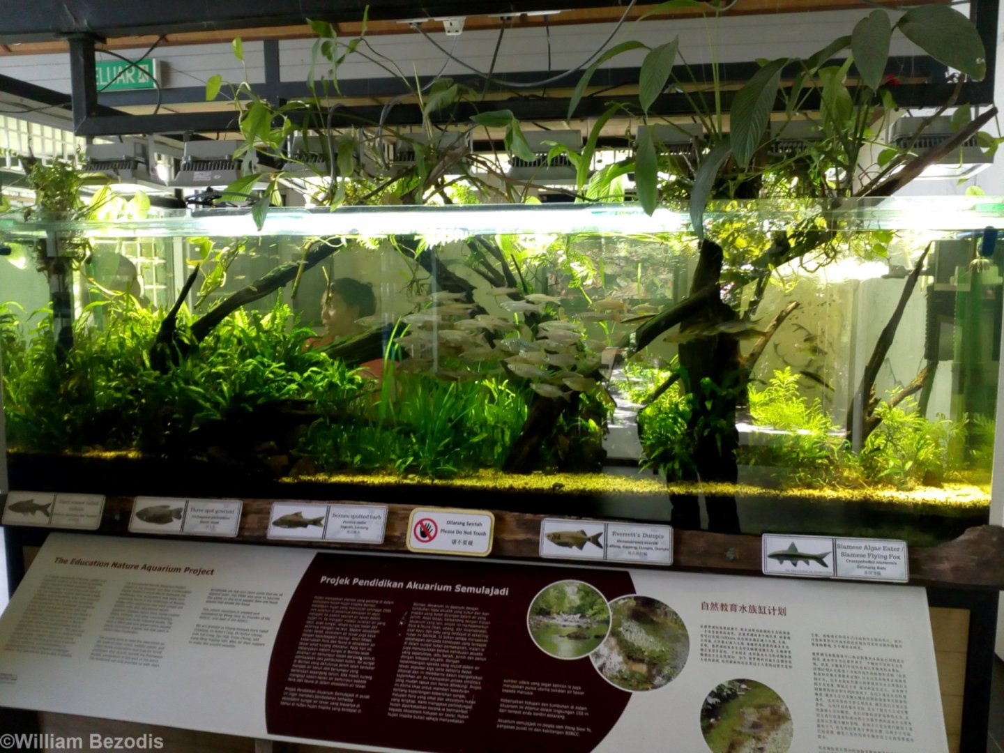 Fish Tank in Entrance Building