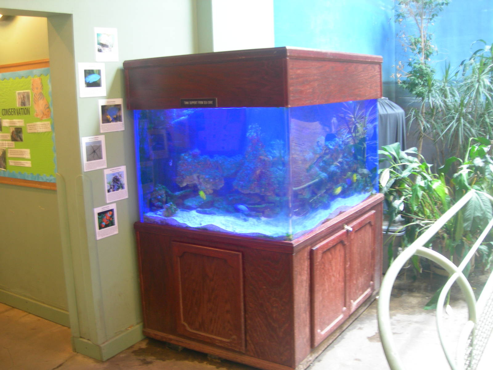 Fish Tank in main building