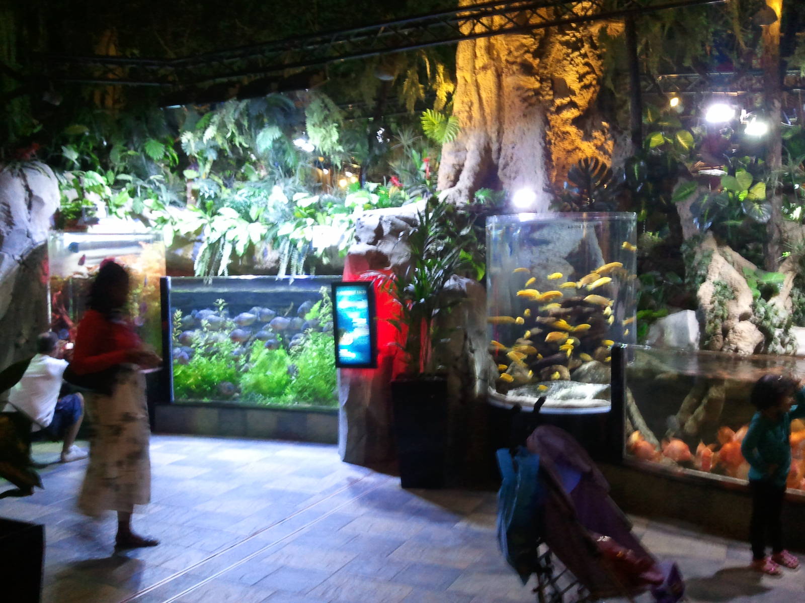 Fish Tank in Underwater Zoo