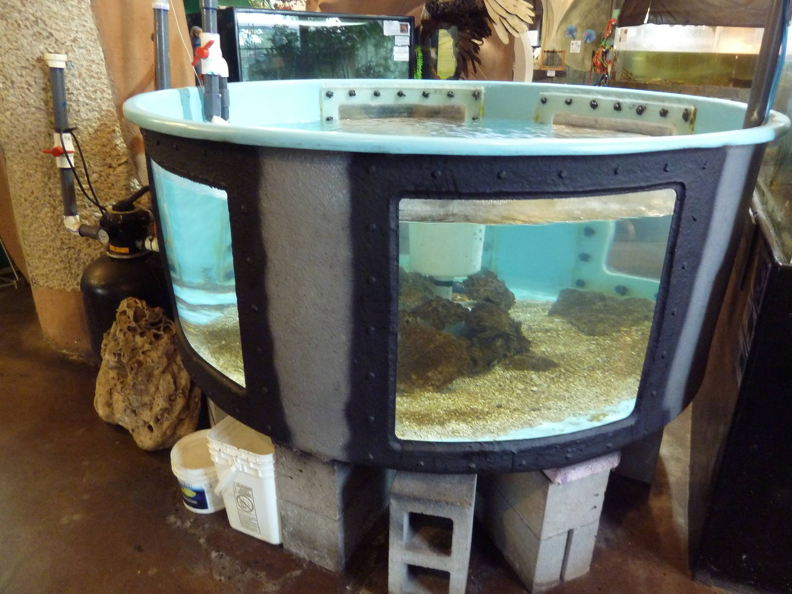 Fish Tank + Junk