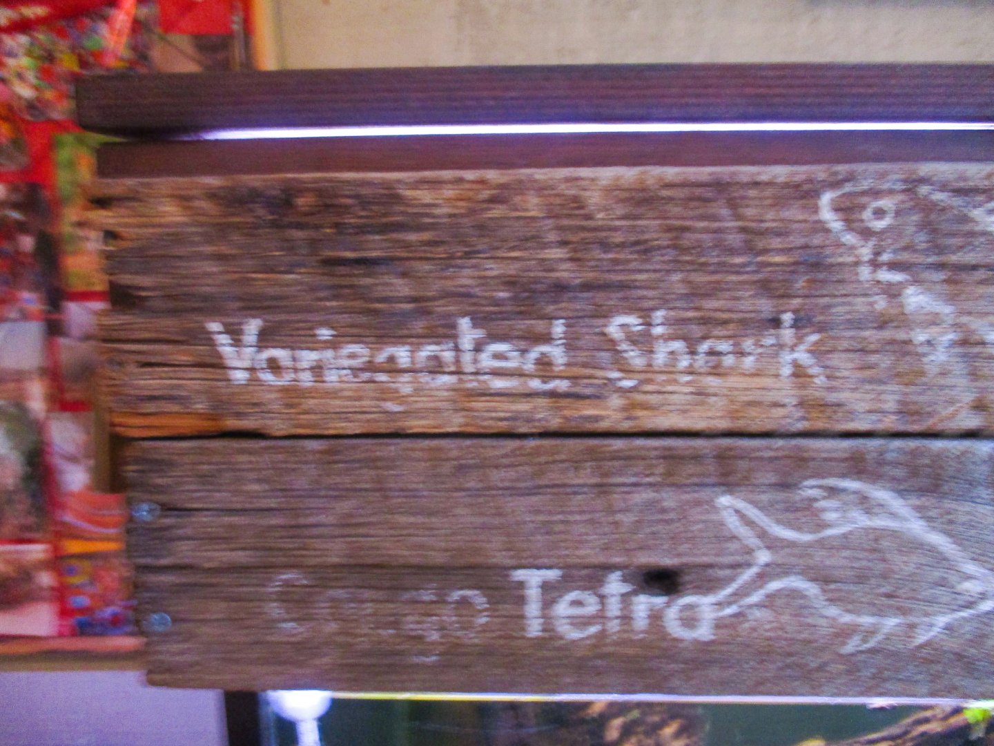 Fish Tank Signage - June 2016