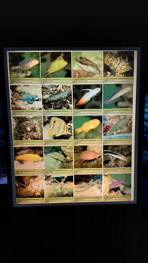 Fish tank - species list #2