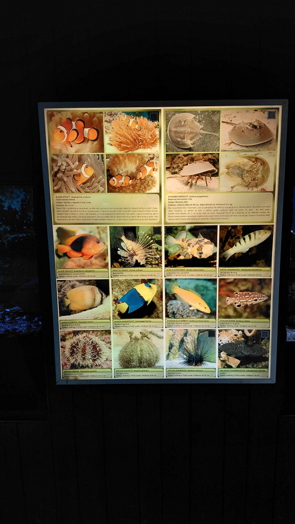 Fish tank - species list #3