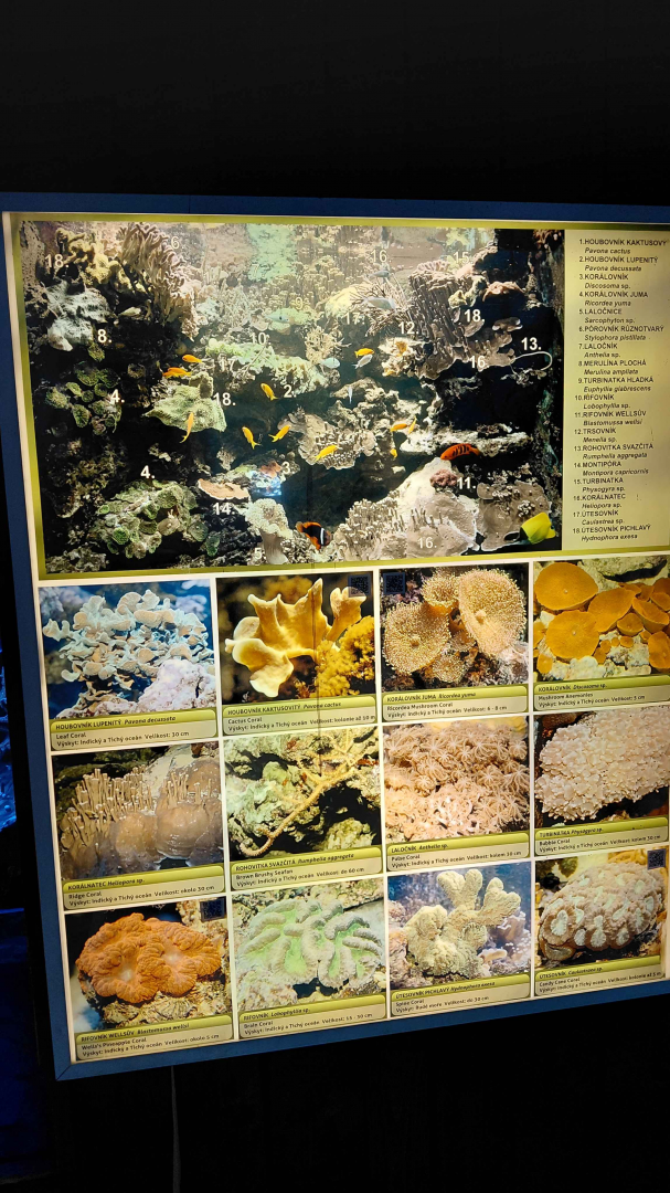 Fish tank - species list #4