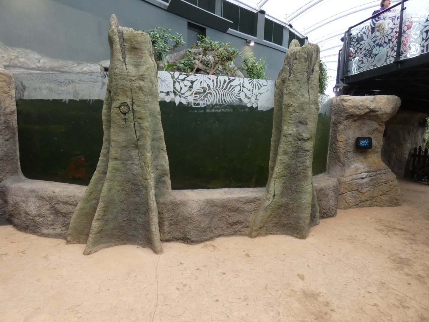 Fish Tank (with Pygmy Marmoset island in the back)