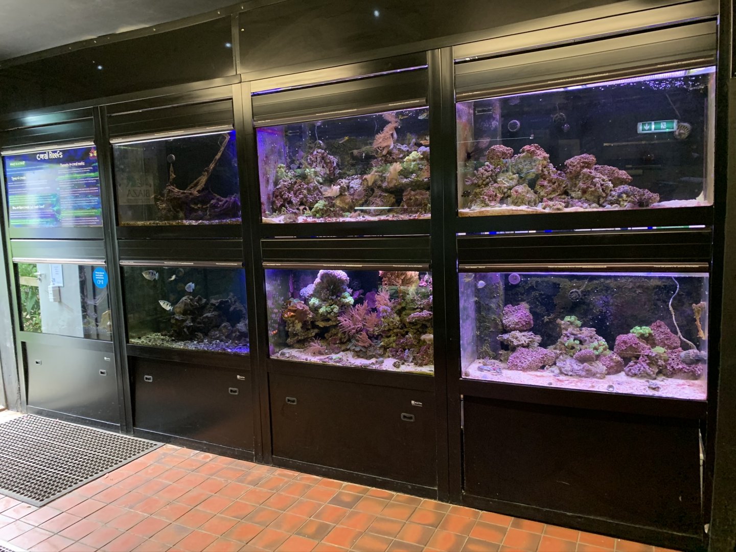 Fish Tanks at Northumberland College Zoo (2020)