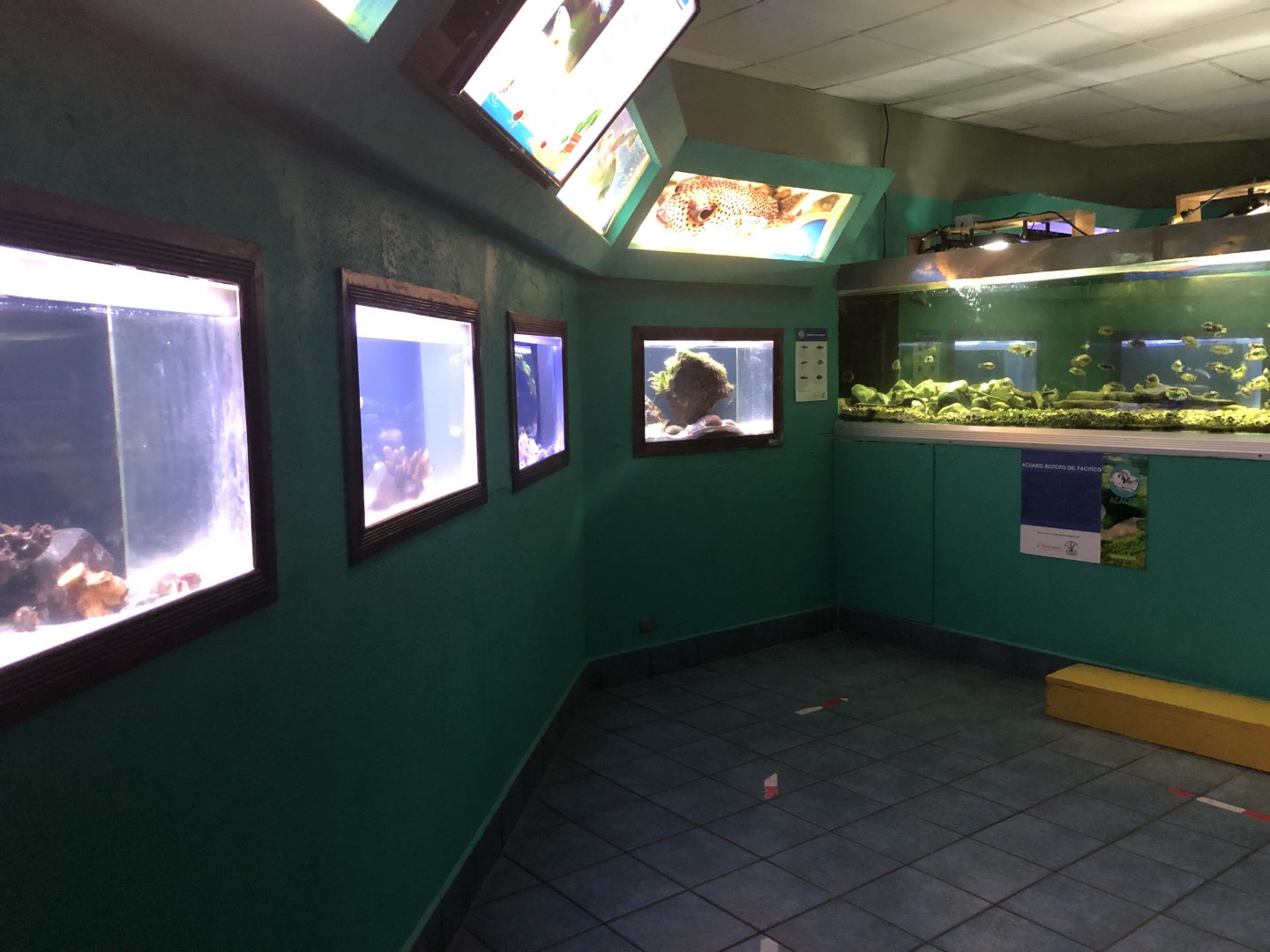 Fish tanks in Aquarium building (Parque Marino del Pacifico)