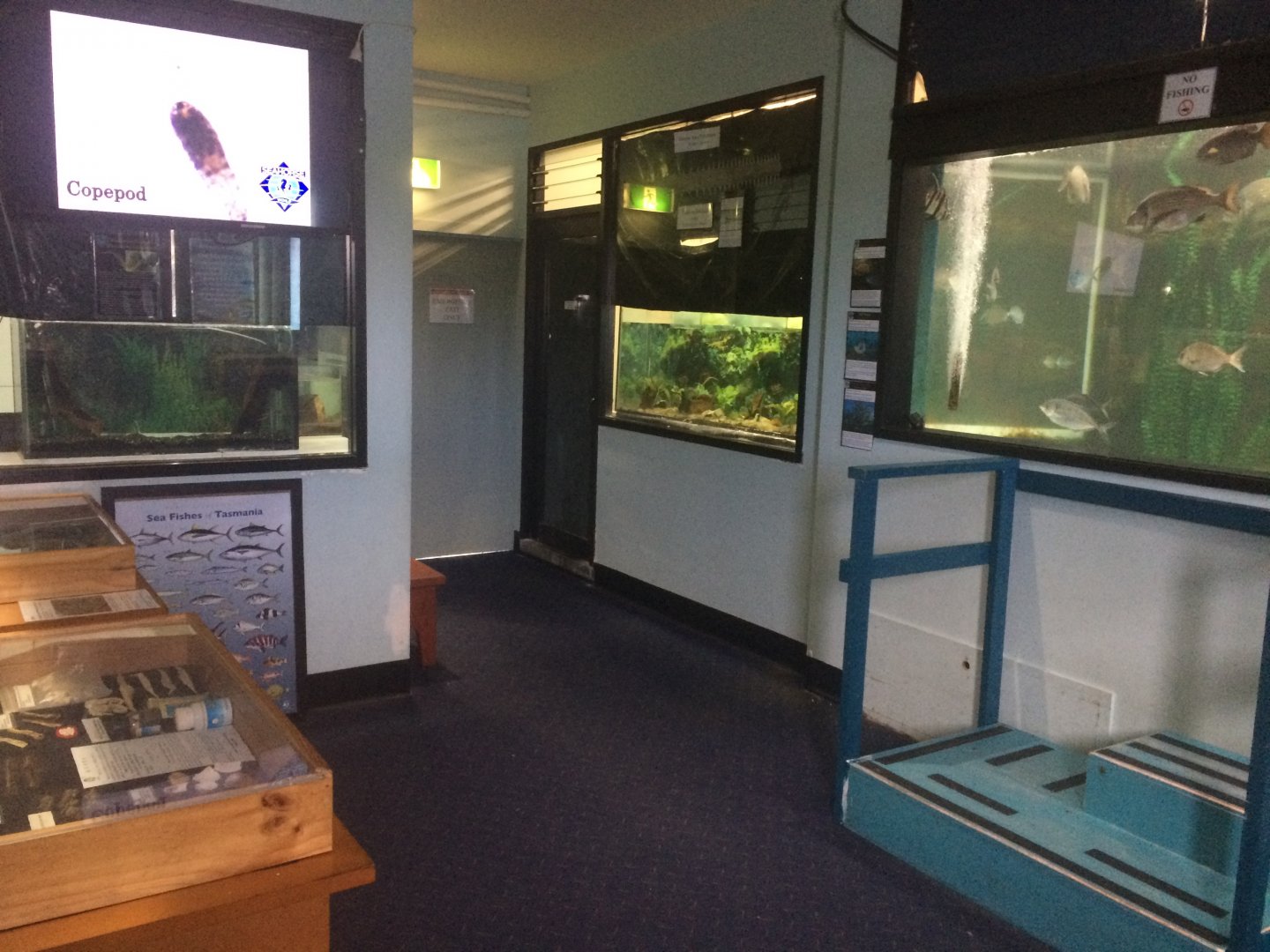Fish tanks