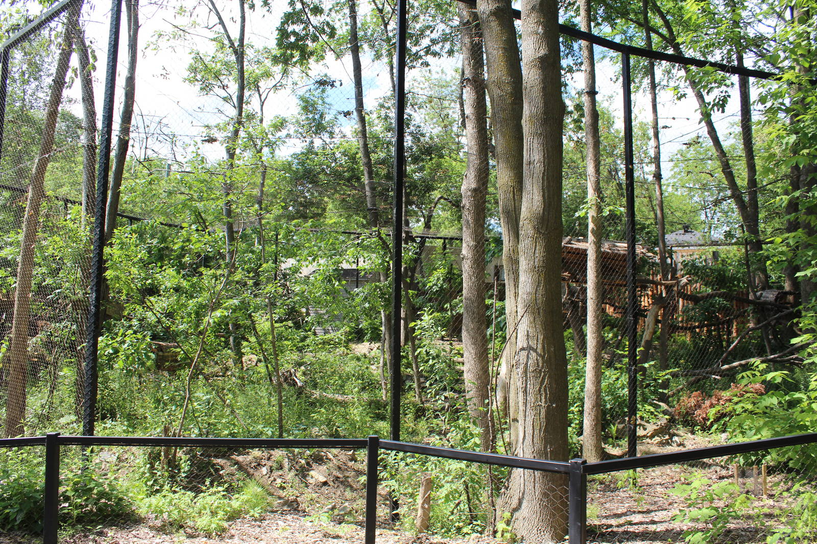 Fisher Enclosure - June 2016