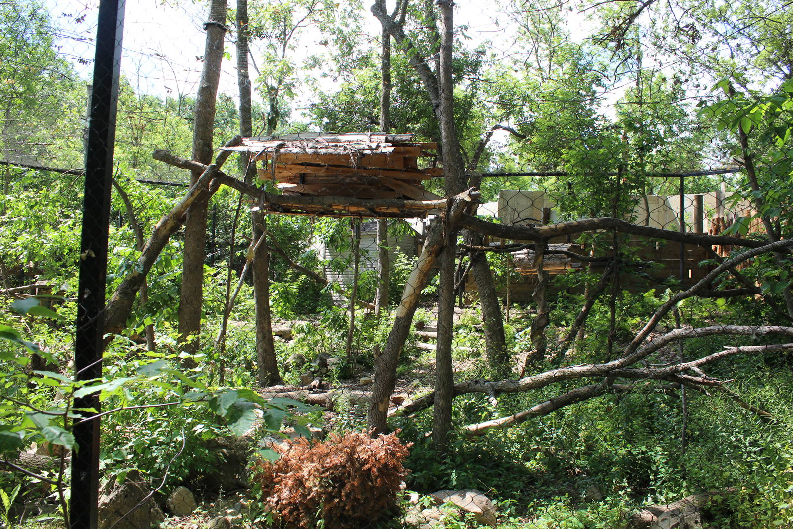 Fisher Enclosure - June 2016