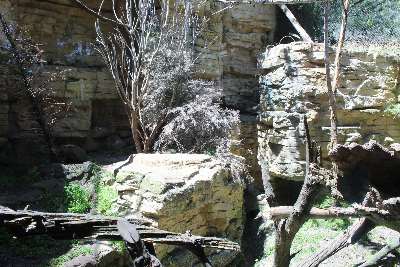 Fisher Exhibit - Minnesota Trail