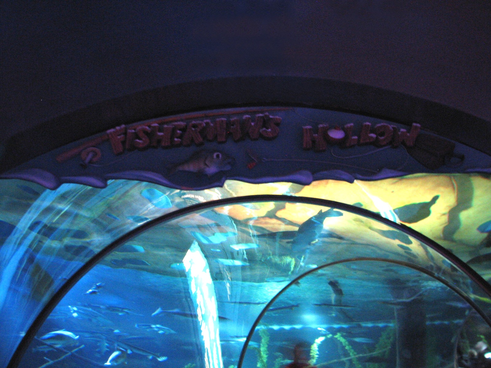 Fishermans Hollow - Entry