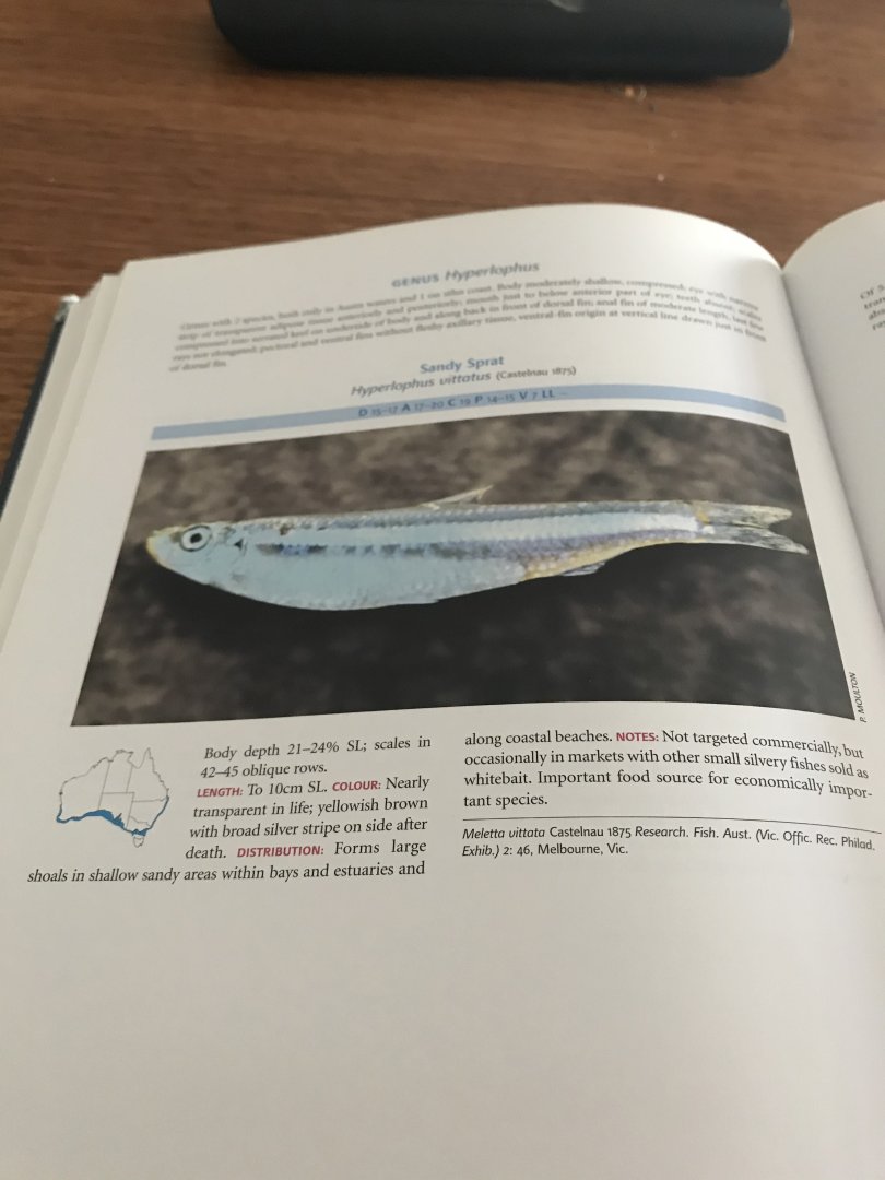 Fishes of Australia’s Southern Coast, Example