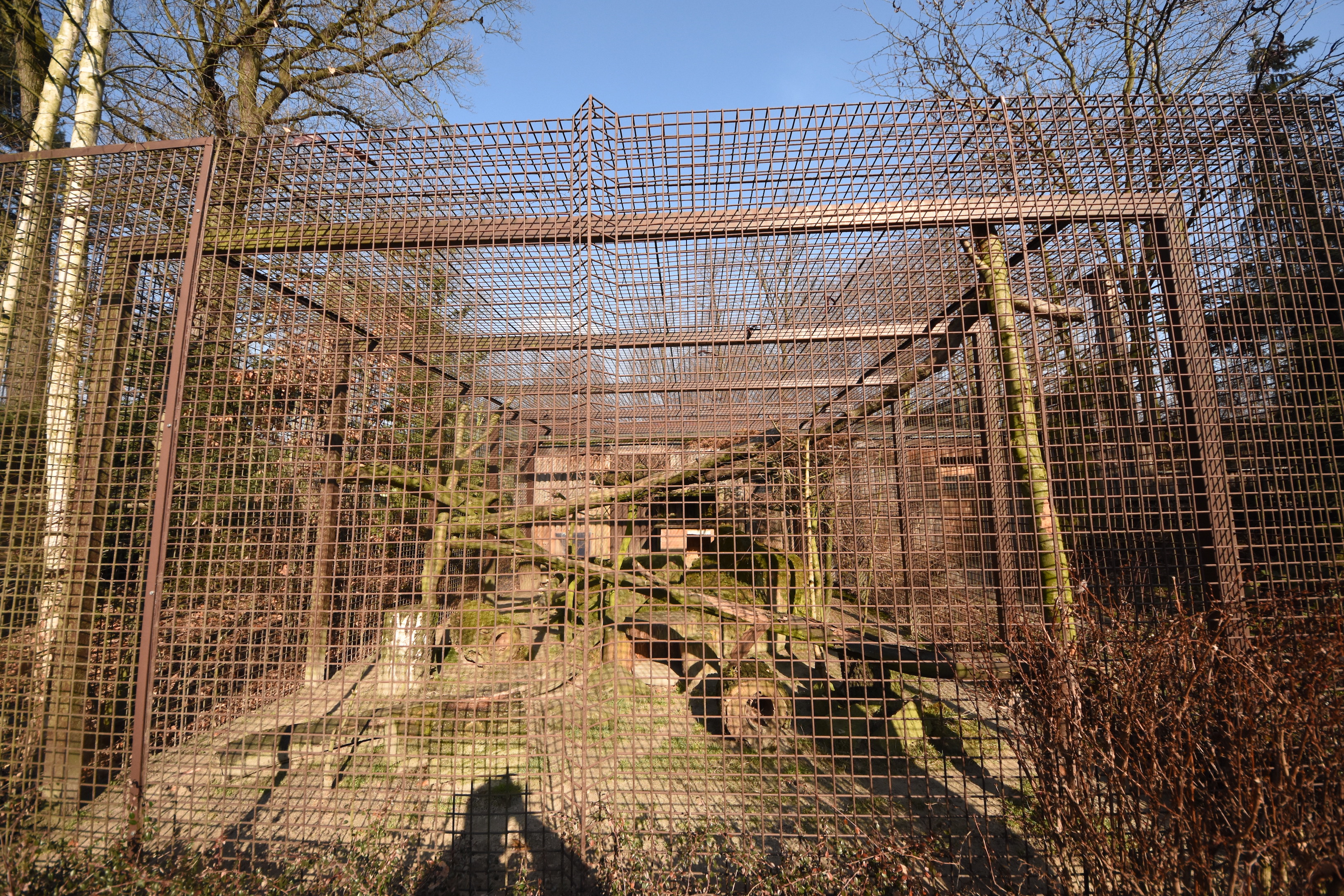 Fishing cat cage