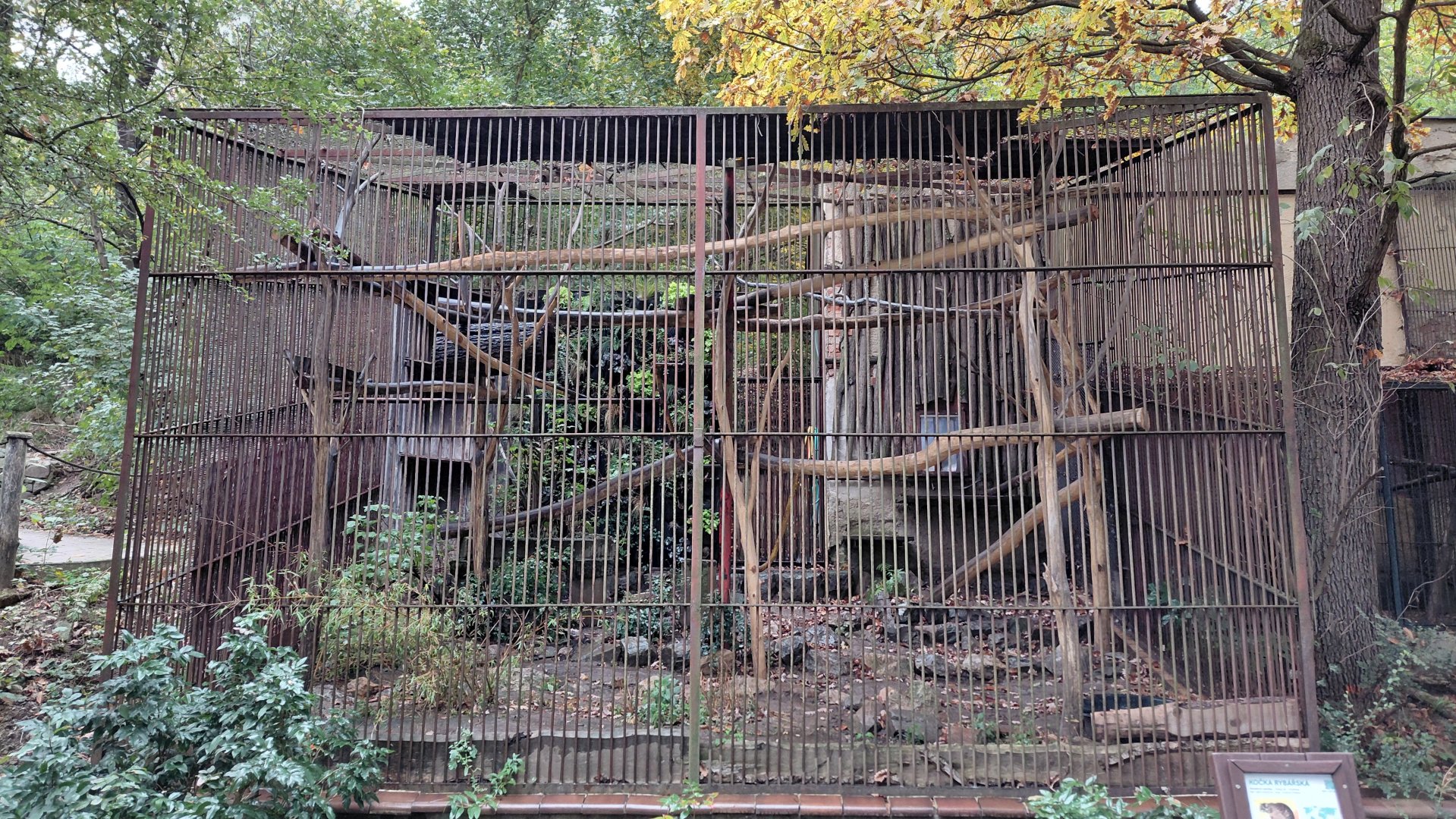 Fishing cat cage
