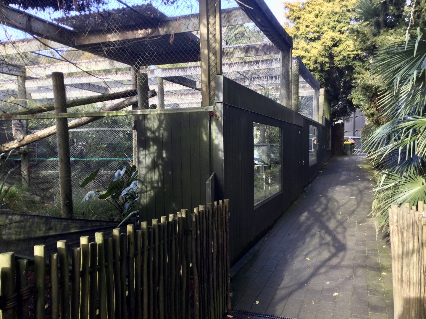 Fishing Cat Complex (Viewing Windows)