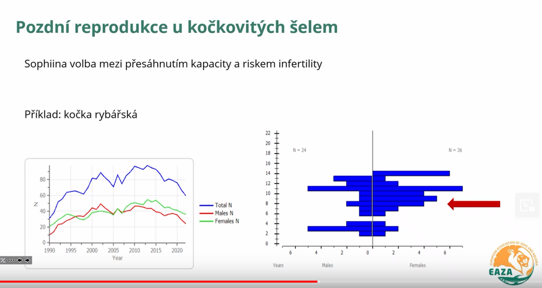 Fishing cat EEP population in 2022