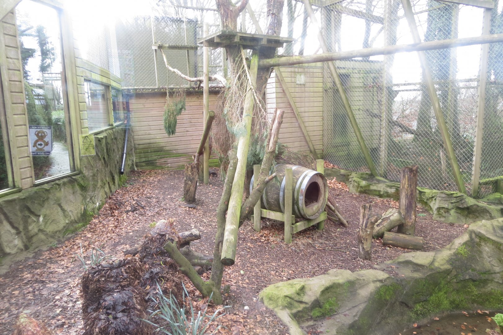 Fishing cat enclosure 040319