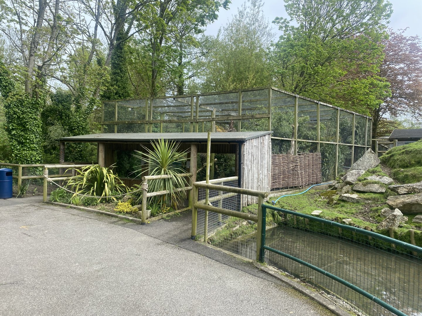 Fishing cat enclosure 060523